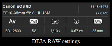 2-RAW settings